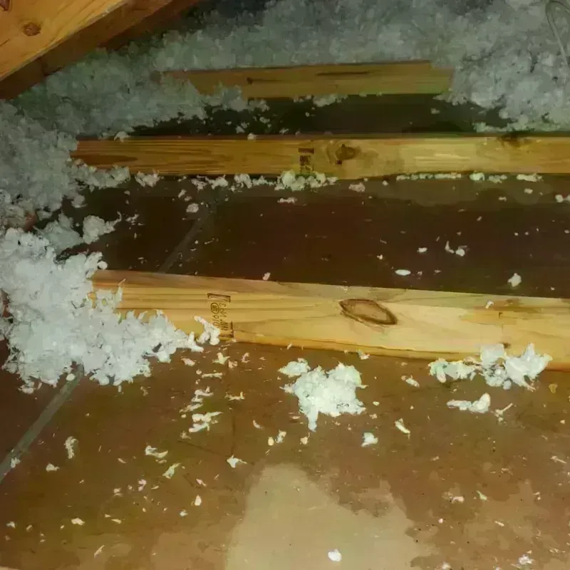 Attic Water Damage in Groton, NY