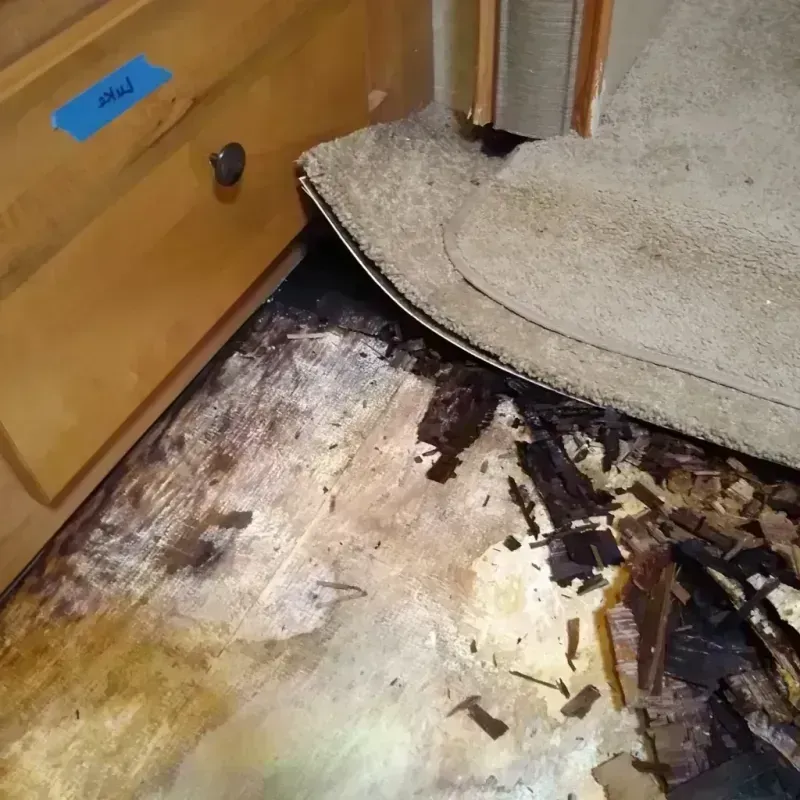 Best Wood Floor Water Damage Service in Groton, NY